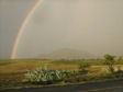 A rainbow arches over green fields during a summer storm.